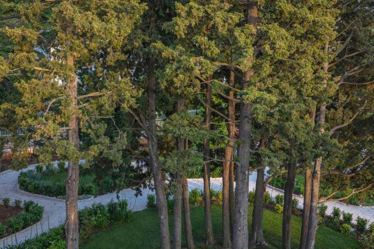 Bed and Breakfast Borgo dei Lecci Puglia Selva Di Fasano Esterno foto
