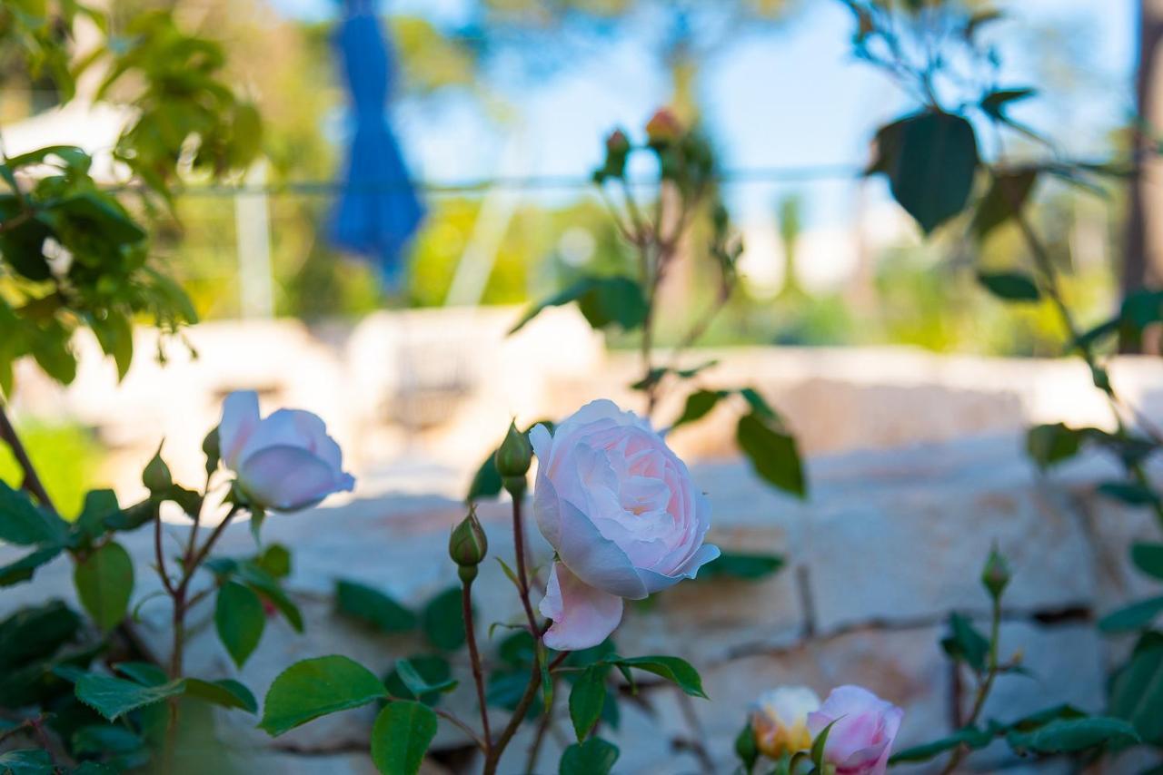 Bed and Breakfast Borgo dei Lecci Puglia Selva Di Fasano Esterno foto