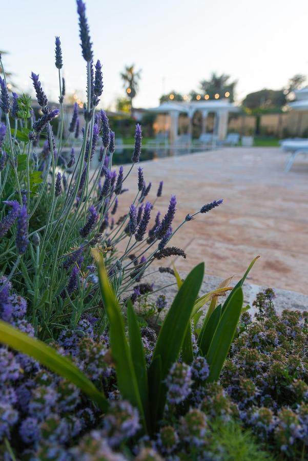 Bed and Breakfast Borgo dei Lecci Puglia Selva Di Fasano Esterno foto